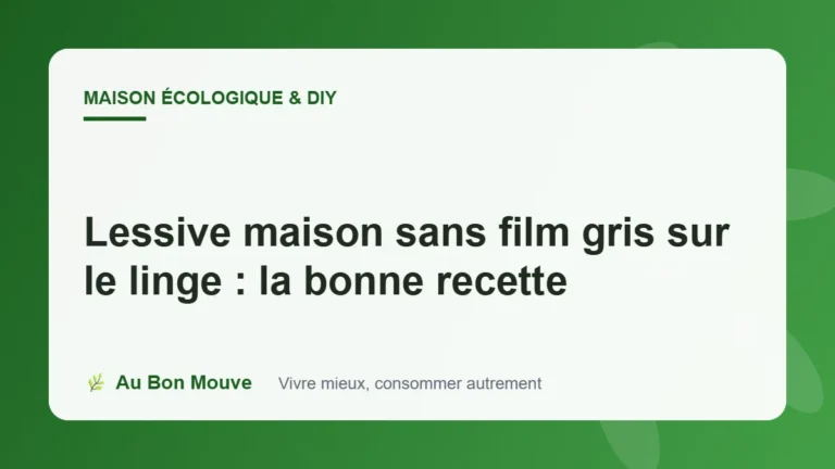 Lessive maison sans film gris sur le linge : la bonne recette