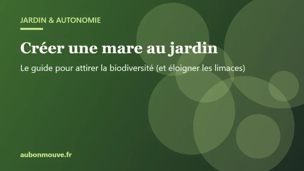 Créer une mare au jardin : le guide pour attirer la biodiversité (et éloigner les limaces)